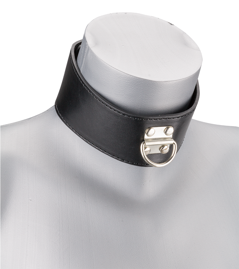 BDSM-Halsband mit Schloss und Leine - Sextoys von LOVE AND VIBES