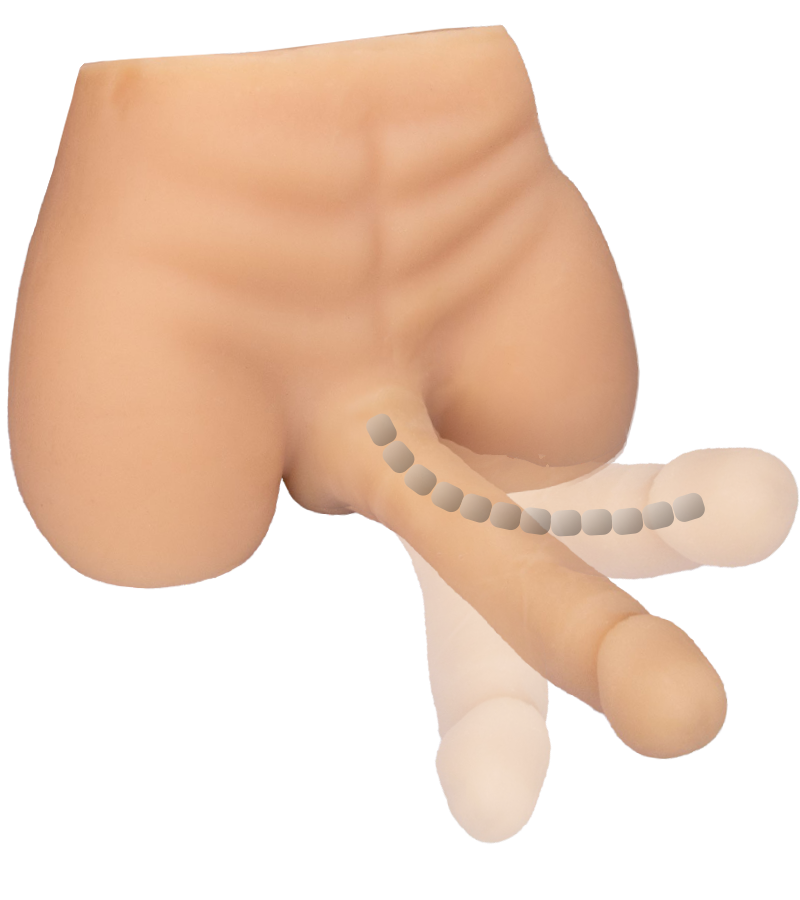 Mnnlicher Torso-Masturbator mit Dildo und Anus Hugo - Sextoys von LOVE AND  VIBES