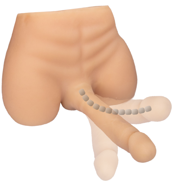 Männlicher Torso-Masturbator mit Dildo und Anus Hugo